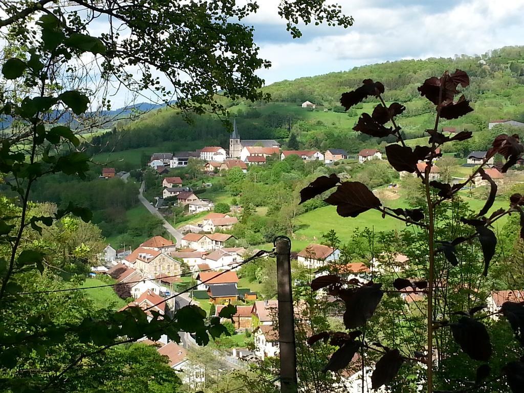 Giteovosges La Croix-aux-Mines المظهر الخارجي الصورة