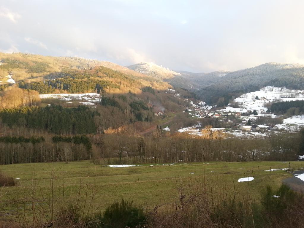 Giteovosges La Croix-aux-Mines المظهر الخارجي الصورة