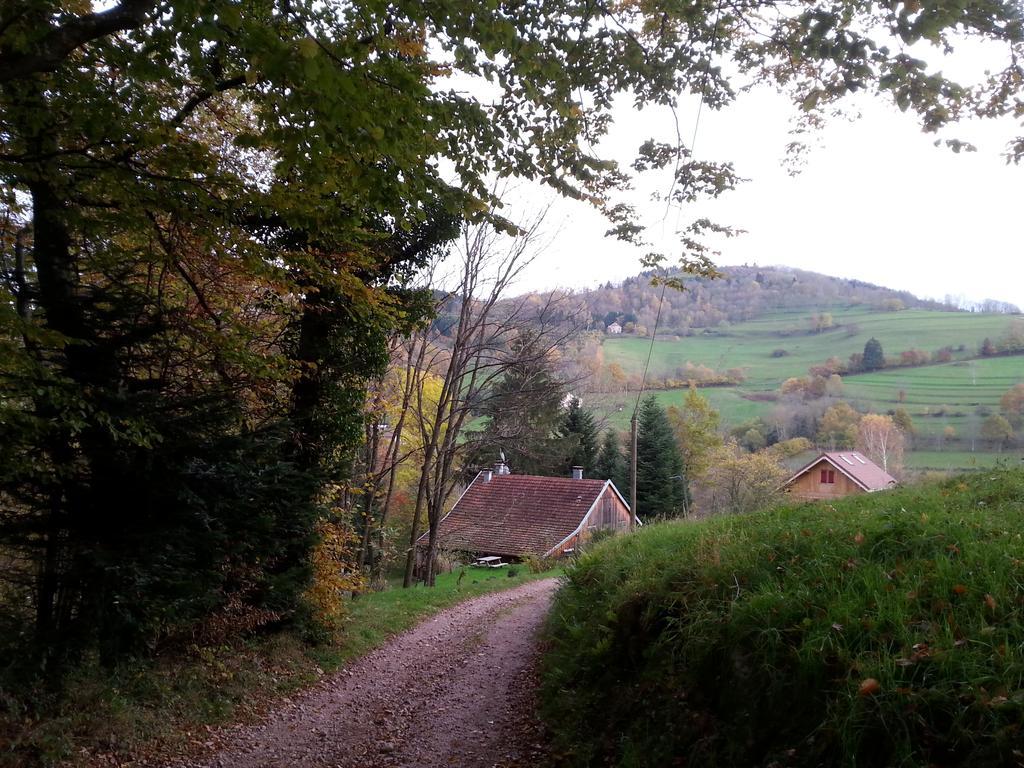 Giteovosges La Croix-aux-Mines المظهر الخارجي الصورة
