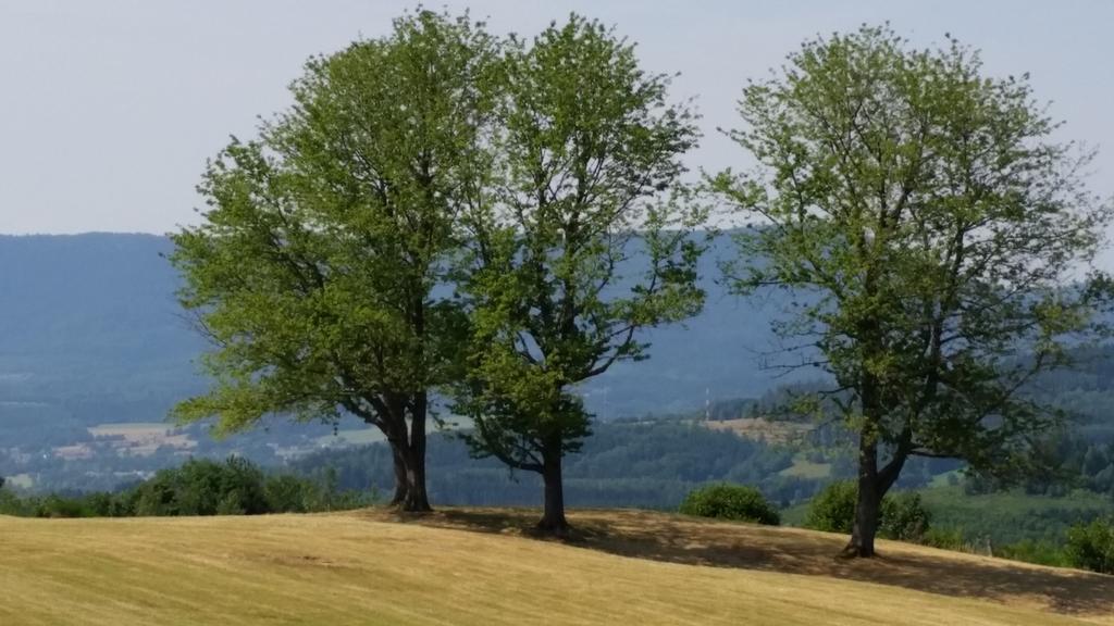 Giteovosges La Croix-aux-Mines المظهر الخارجي الصورة