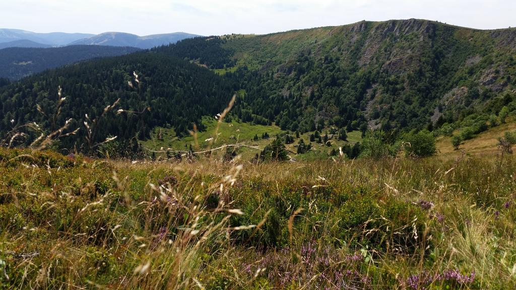 Giteovosges La Croix-aux-Mines المظهر الخارجي الصورة